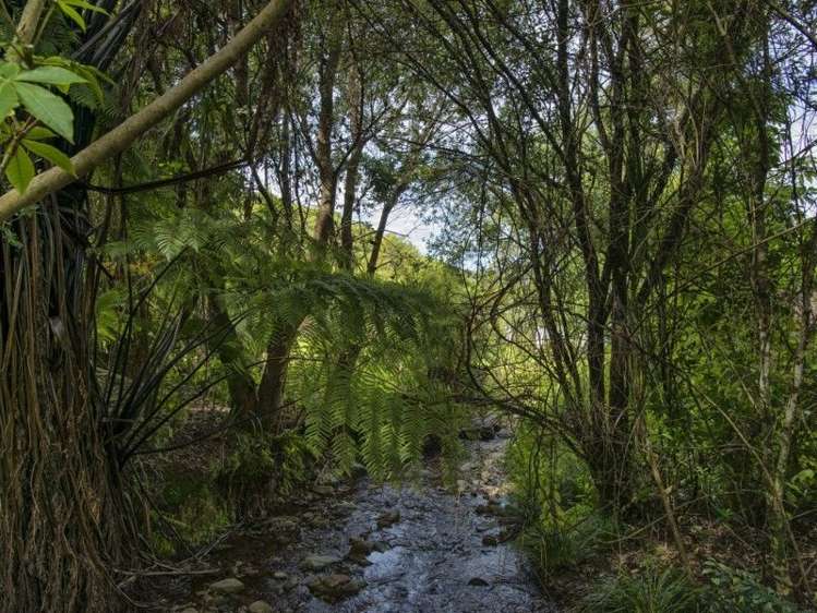 5 Thompson Place Anakiwa and Surrounds_18
