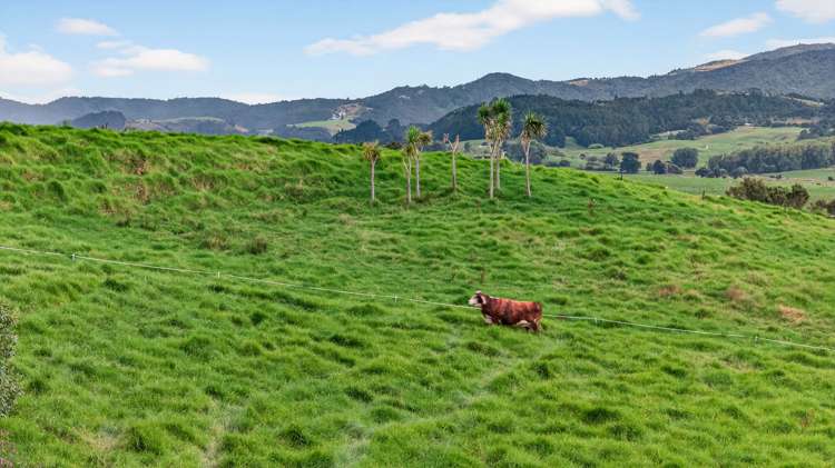 89 Brown Road Kaiwaka_33