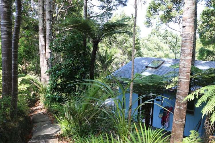 25 Opou Road Titirangi_1