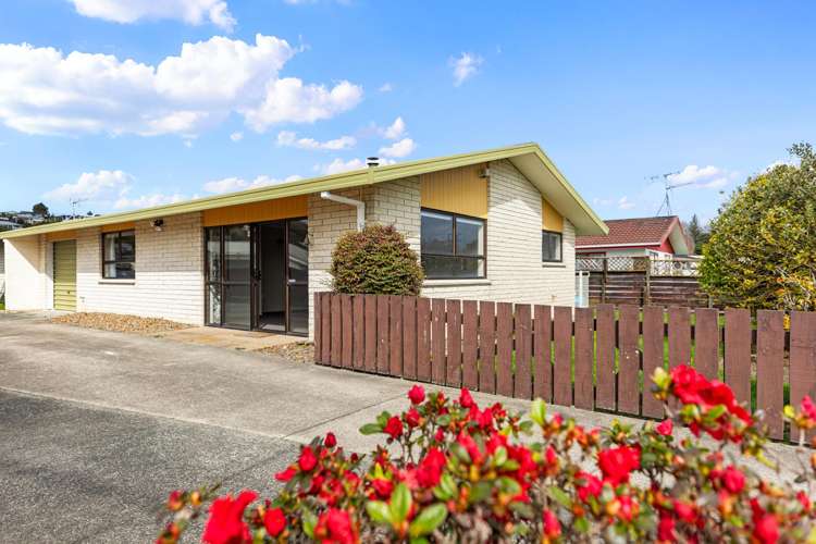 402A Ngatai Road Bellevue_10