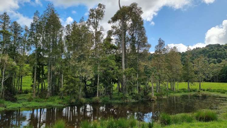 Taylor Road Mangapai and Surrounds_5