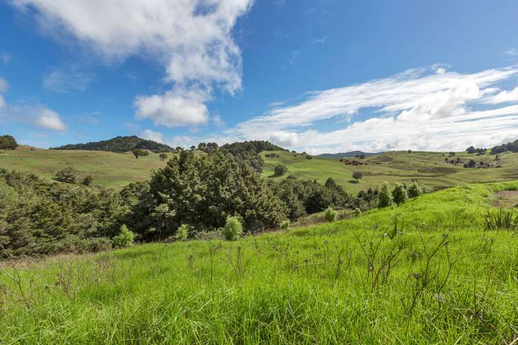 563 Riponui Road Ruatangata_20