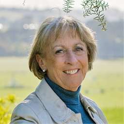 Jacqui Campion