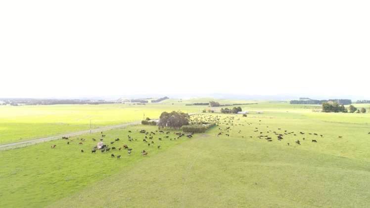 506 Kiritaki Road Dannevirke_5