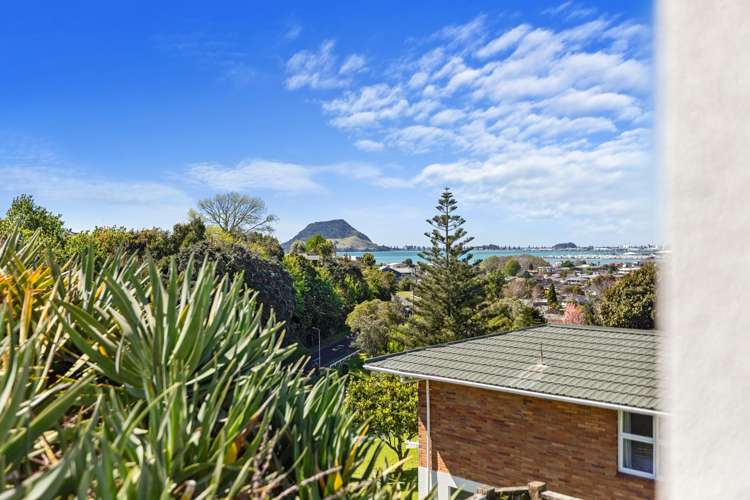 53A Milton Road Otumoetai_10