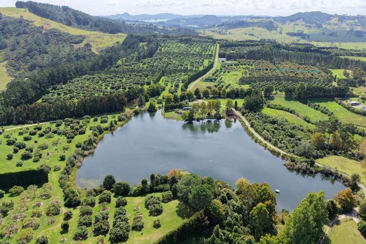 121C Purangi Road Whenuakite_2