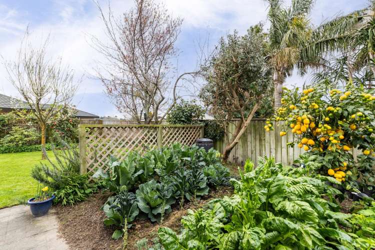 70 Whiting Crescent Greenmeadows_30