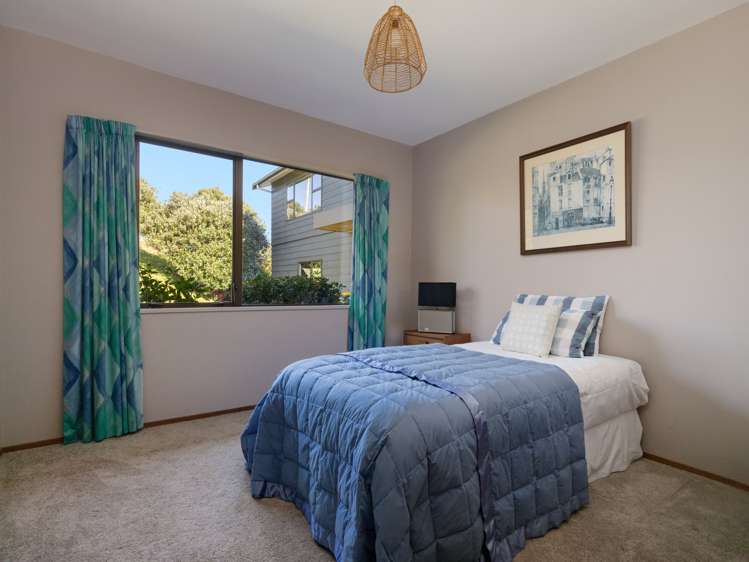 196 Whakamarama Road Whakamarama_17