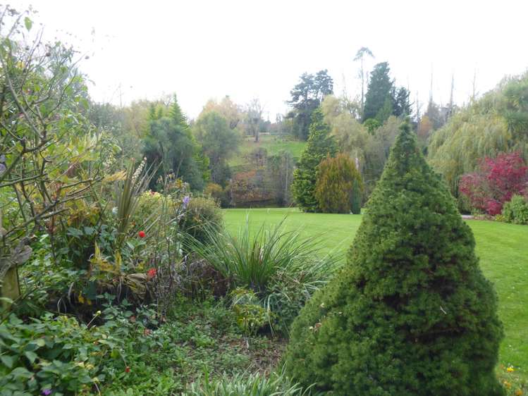 99 Pye Road Geraldine_9