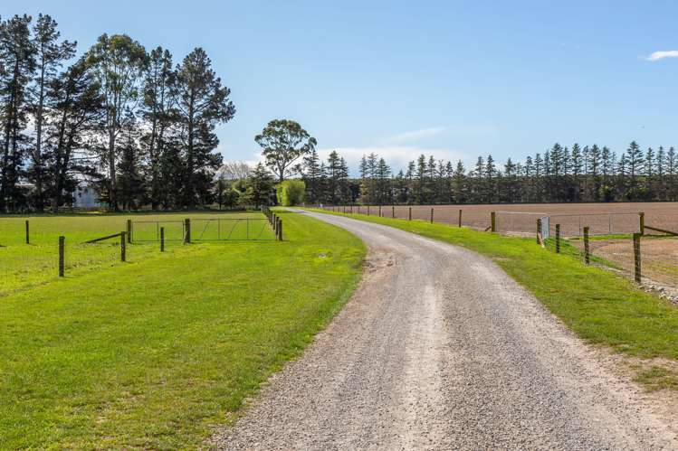 684 Telegraph Road Selwyn_31