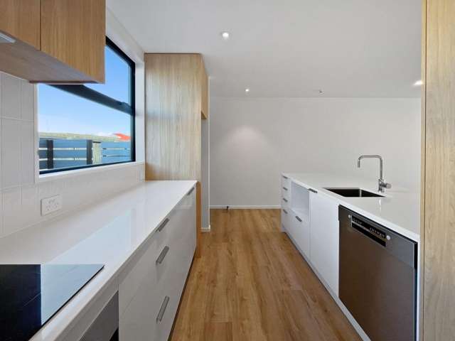 6/46b Division Street Riccarton_3