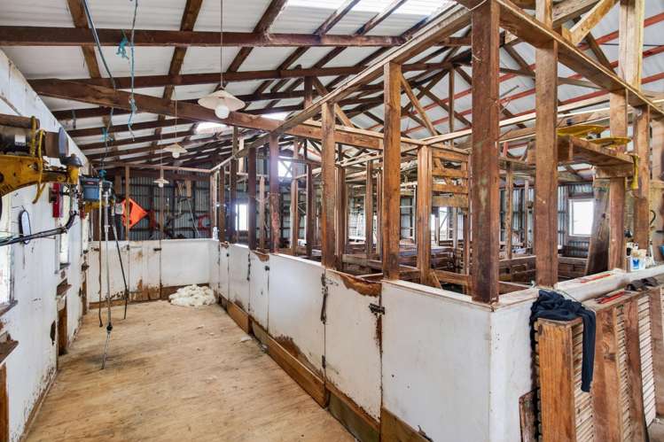 80 Harrison Road Waiotira_15