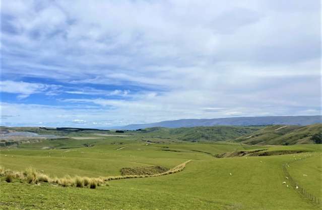 Large scale farming in Otago