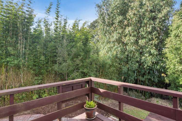 6 Withers Road Glen Eden_14