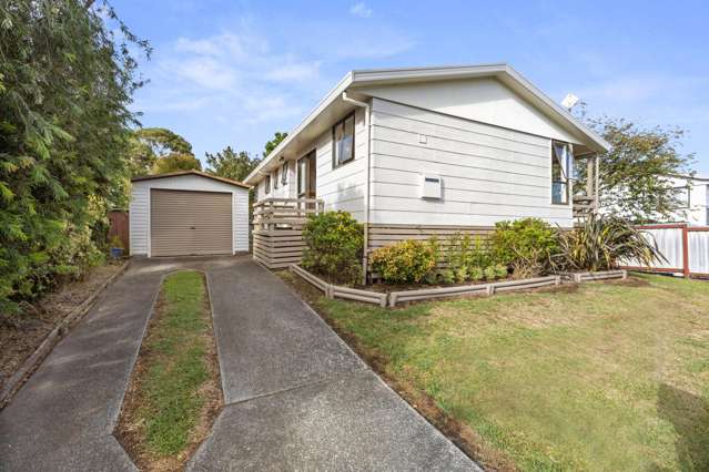 41 Hibiscus Avenue Hamilton Lake_2