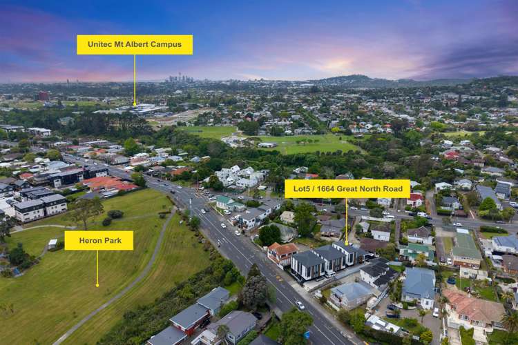 1664E & F Great North Road Avondale_21