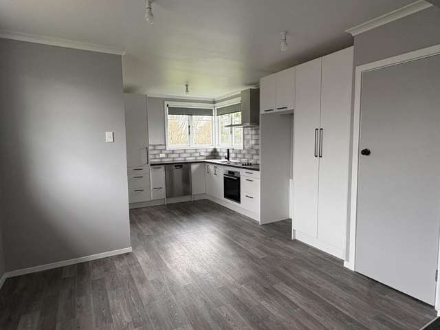 233 Balmoral Drive Tokoroa_4