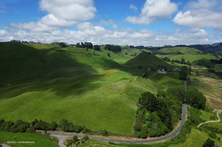 1911 Tutukau Road Wairakei and Surrounds_12
