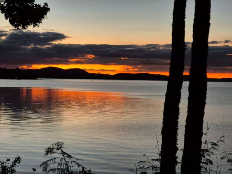 1477 State Highway 30 Rotoiti Forest_22