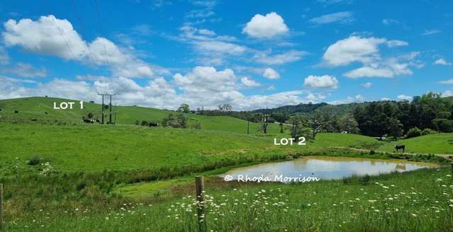 Golden Stairs Rd Maungaturoto_1