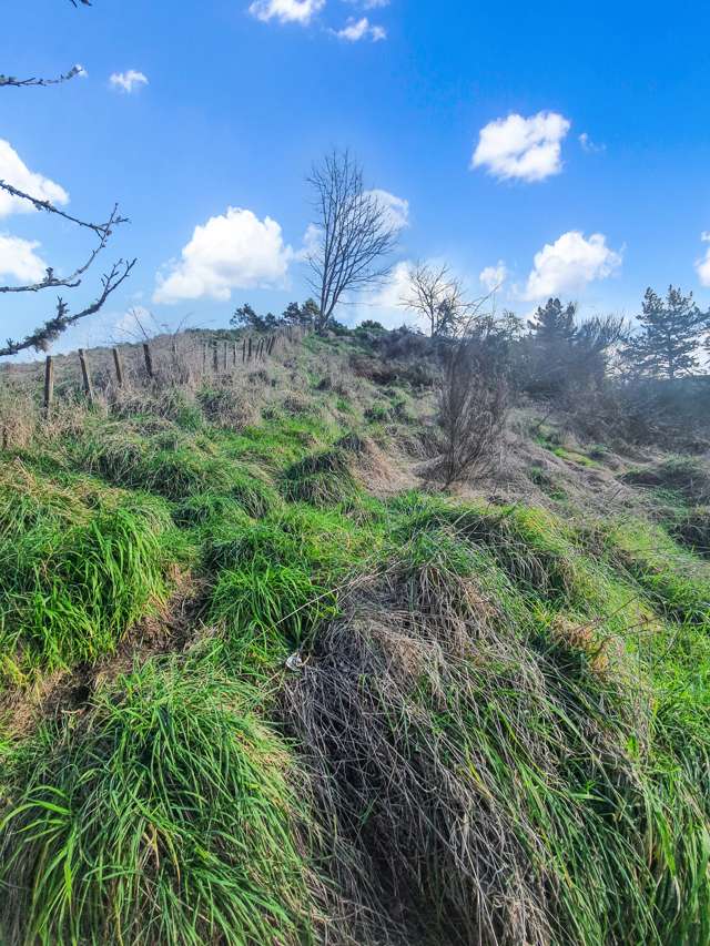 36 Bullians Avenue Taumarunui_2