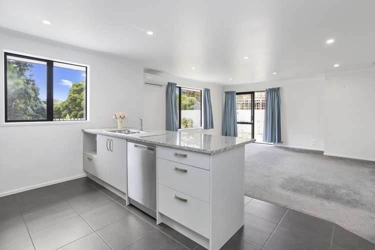 108 Tripoli Road Panmure_8