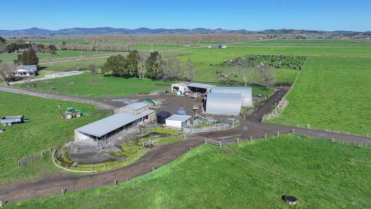 400 Hopai West Road Waitakaruru_9