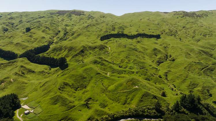 1337 Coonoor Road Pahiatua_5