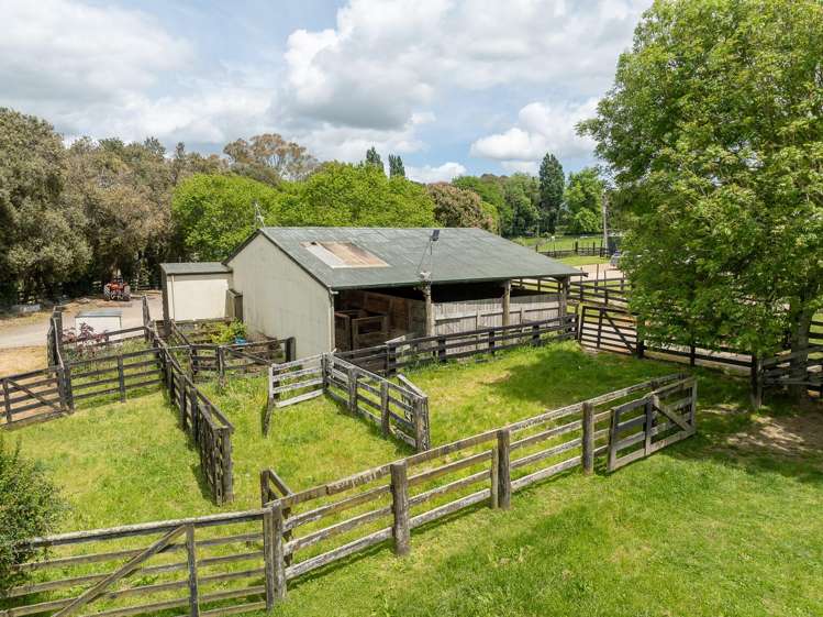 169 McGregor Road Ohaupo_15