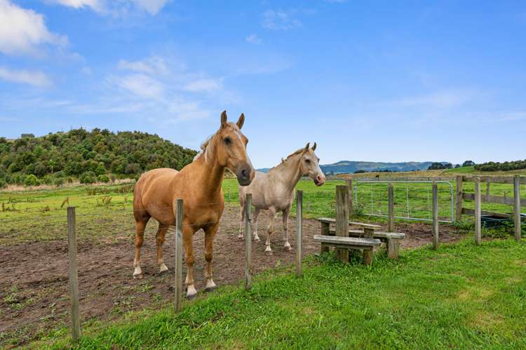 361unit Central Road Hamurana_32