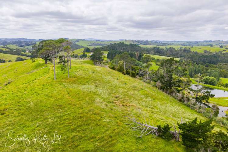 Wearmouth Road Paparoa_8