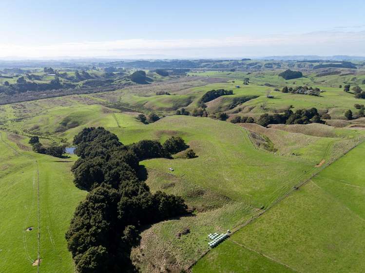 485 Chapman Road Pukekawa_29