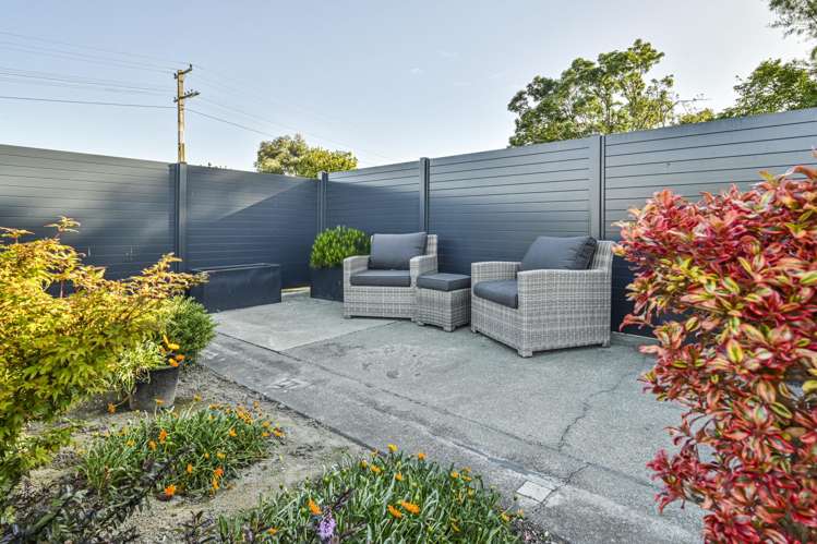 34 McElwee Street Jervoistown_18