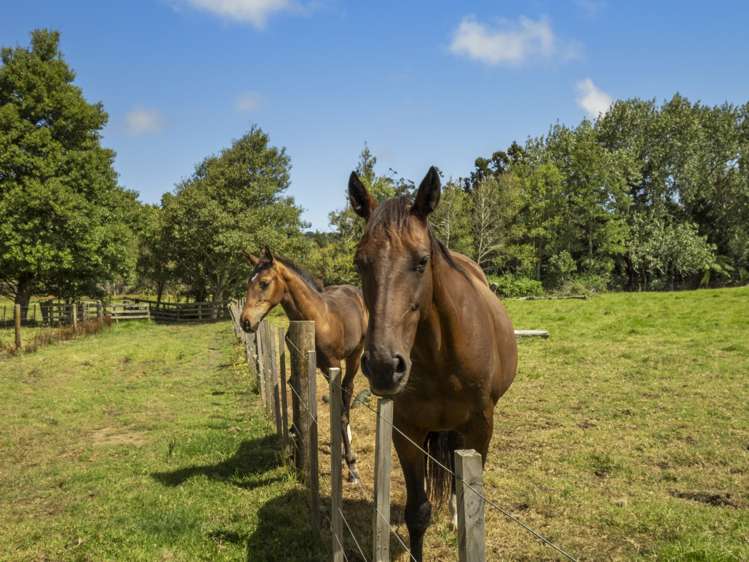 234 Muriwai Valley Road Muriwai_6