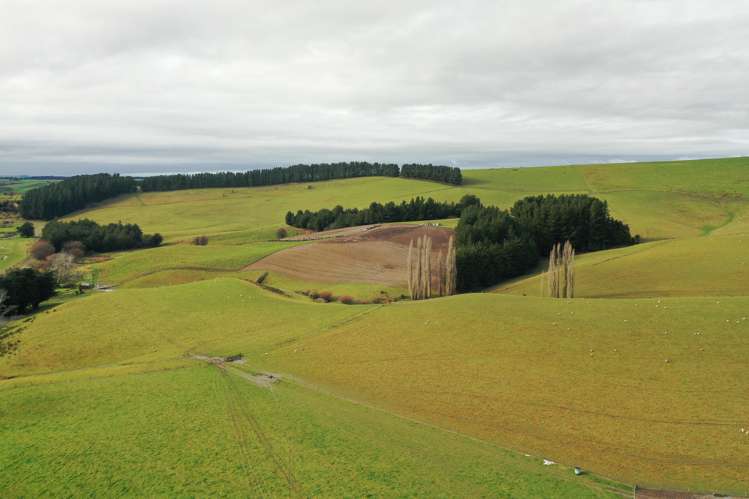 319 Monument Road Pleasant Point_19