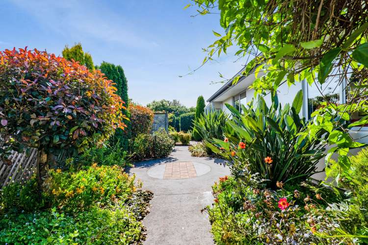 86 Wills Road Bell Block_20