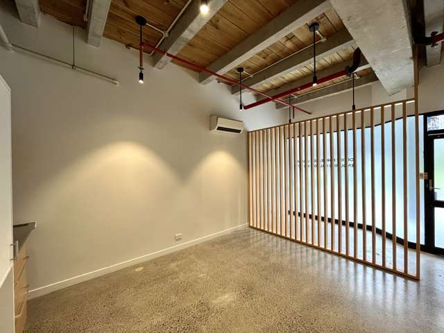 Unit N/1 Jervois Road Ponsonby_1