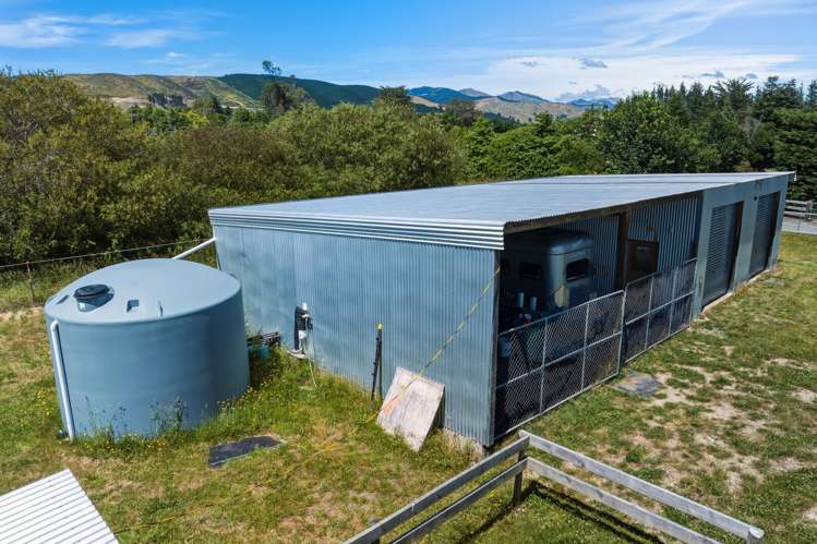 2668 State Highway 63 Wairau Valley_23
