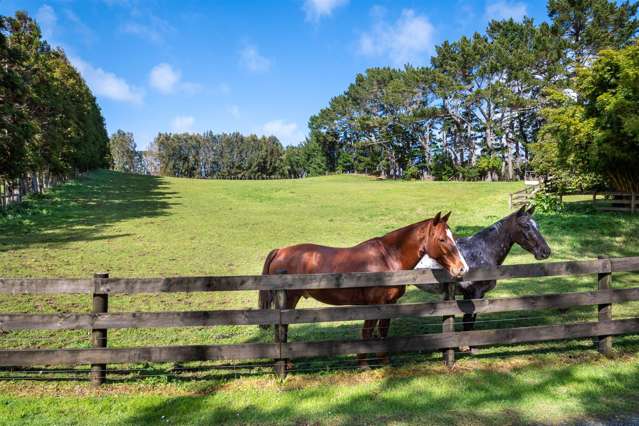 87 Taha Road Waimauku_1