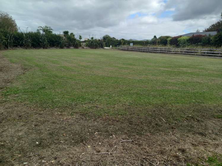 77 Jack Boyd Drive Mangawhai Heads_6