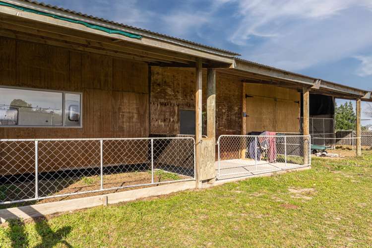 243 Mount Thomas Road Fernside_12