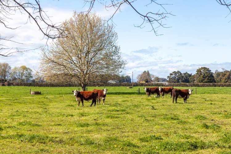 5932 State Highway 27 Ngarua_11