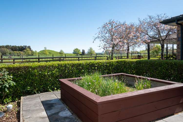 2 Parkridge Place Central Hawkes Bay Coastal_12