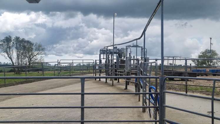 1124 Waiare Road Okaihau_9