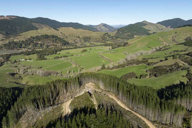 Graham Valley Road Motueka Valley_2