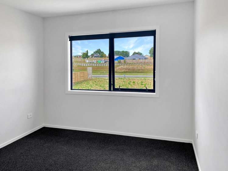 264 Korimako Drive 11385_14