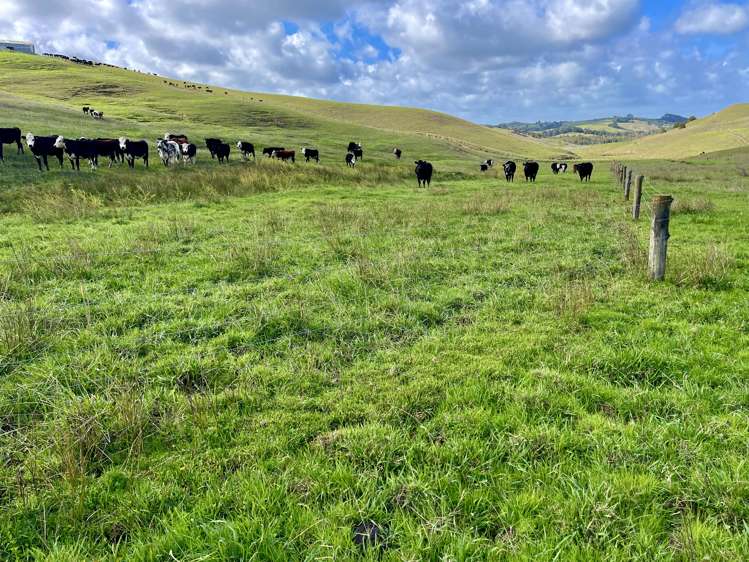 426 Mangarata Block Road Arapohue_7