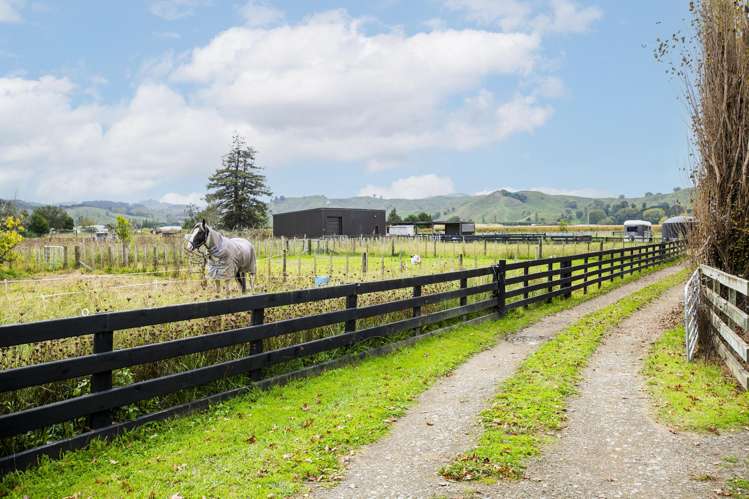 1290 Matawai Road Ormond_21