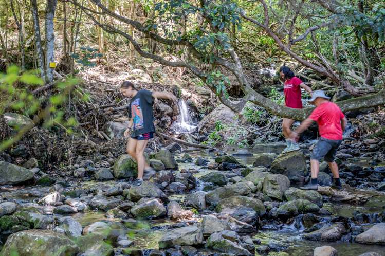 242 Little Akaloa Road Little Akaloa_6