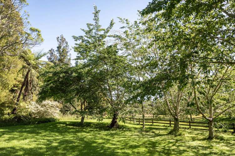 209 Franklin Road Waihi_36